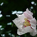 20101213 050(001).jpg