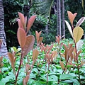 20101213 057(001).jpg