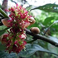 20110306 137(001).jpg