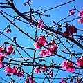 20110206 049(001).jpg