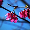 20110206 050(001).jpg