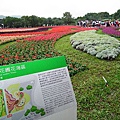 20101120 003(001).jpg