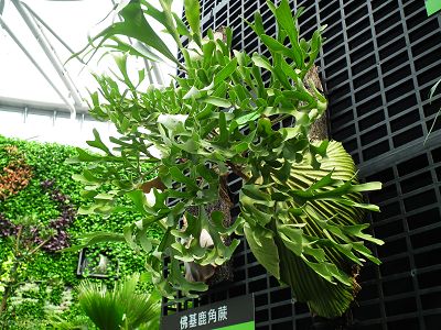 20101120 023(001).jpg