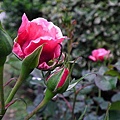 20110223 030(001).jpg
