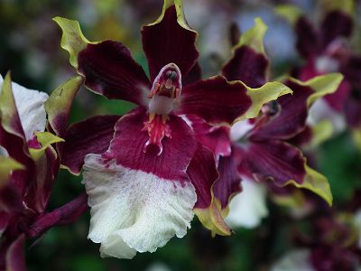 20101120 069(001).jpg