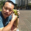 月輪中型鳥、角蛙餵食 | 分享飼養寵物文