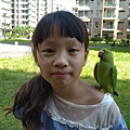 月輪中型鳥、角蛙餵食 | 分享飼養寵物文