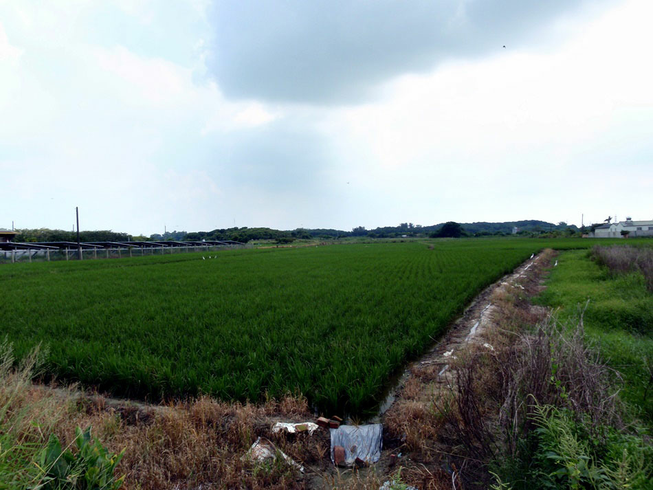 如何從台南市仁德區搭車前往官田勞動部勞動力發展署雲嘉南分署參加職訓