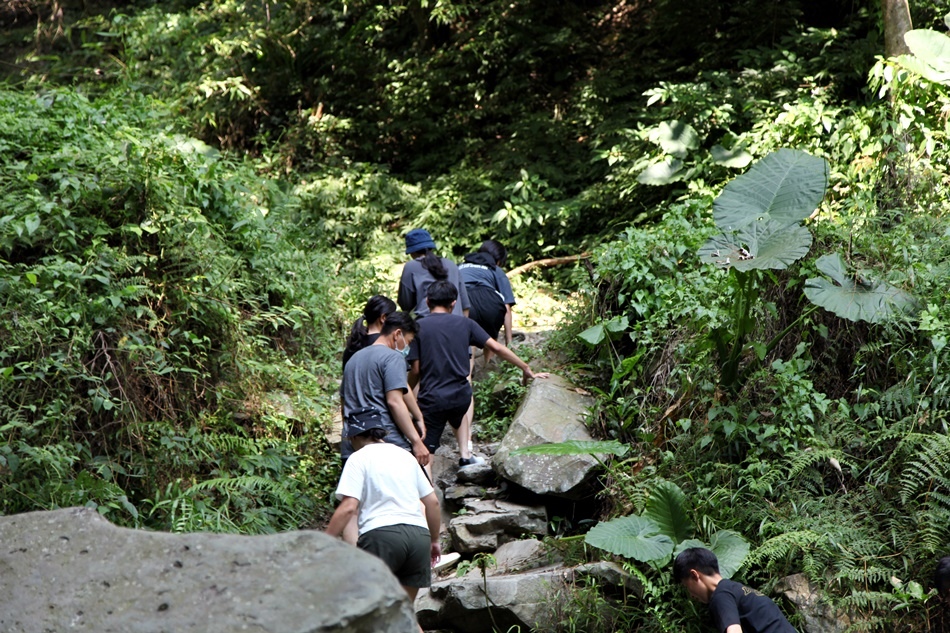 松露營區露營