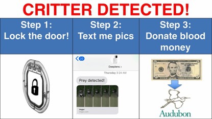 steps-after-ai-detects-cat-with-a-prey.jpg steps-after-ai-detects-cat-with-a-prey.jpg