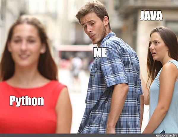 python_or_java_meme.jpg