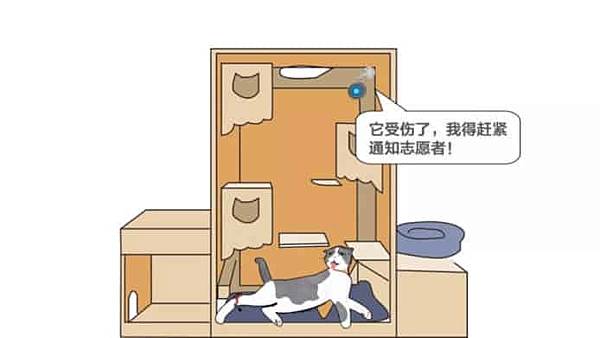 ai-cat-sick-detector.jpg