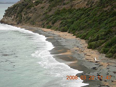 長長海岸線~等了兩三個小時就是不見企鵝回家