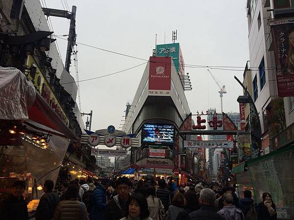 IMG-20161124-WA0129.jpg IMG-20161124-WA0129.jpg