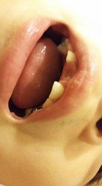 11988386_1077420925603148_6123177422041532187_n