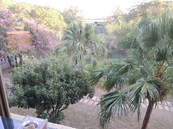 DSCN9649.JPG DSCN9649.JPG