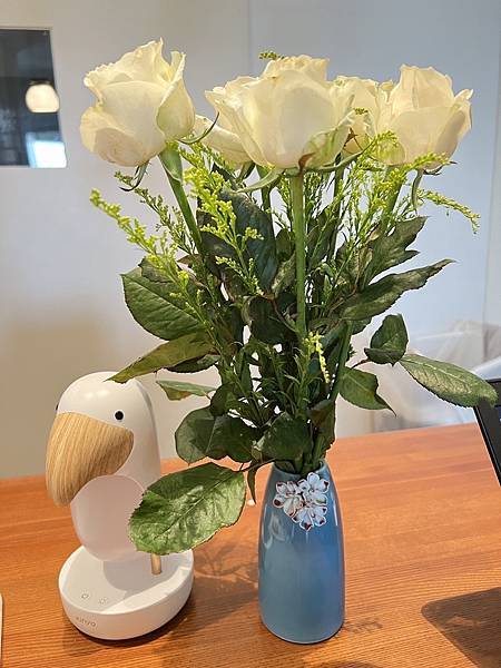 S__19112671.jpg S__19112671.jpg