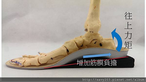 錯誤的增高墊 錯誤的增高墊