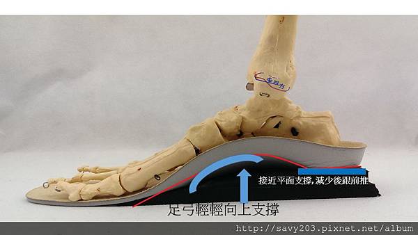正確增高墊後視