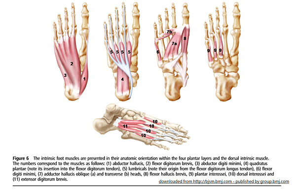 active subsystem foot