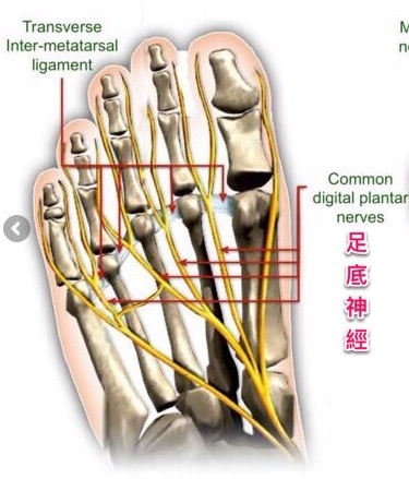 image.jpeg image.jpeg