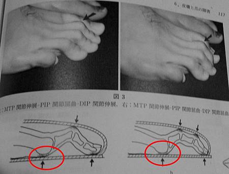 image.jpeg image.jpeg