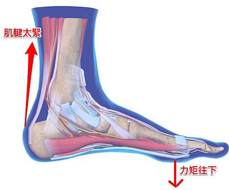 image.jpeg image.jpeg