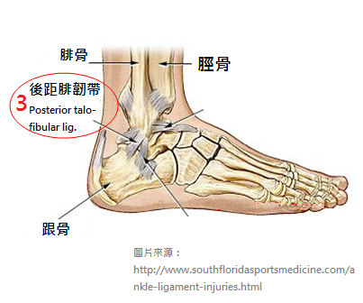 Ankle-sprains_physiotherapy 中3