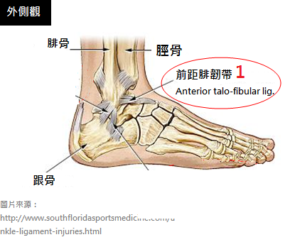 Ankle-sprains_physiotherapy 中1 Ankle-sprains_physiotherapy 中1