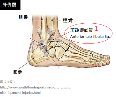 Ankle-sprains_physiotherapy 中1