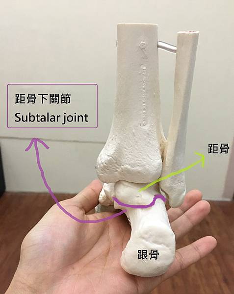 Subralar joint