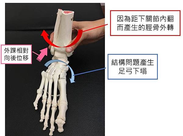 mechanism.jpg