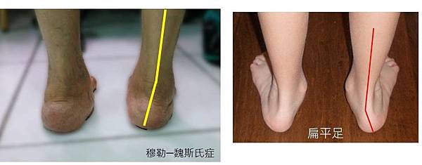 對照圖.jpg 對照圖.jpg