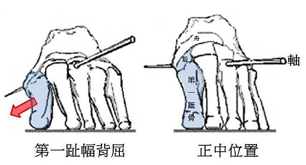 1 ray 2.jpg 1 ray 2.jpg