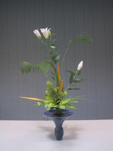 2007第一期7 2007第一期7