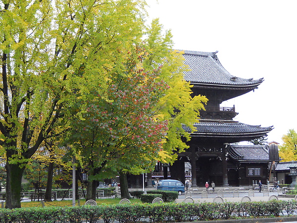  嵯峨野