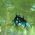 Aion0172.jpg