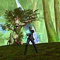 Aion0173.jpg