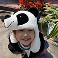 大頭熊貓