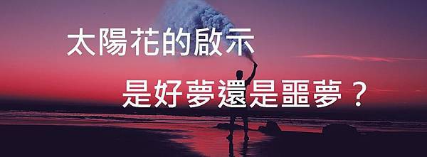 aziz-acharki-7nsqPSnYCoY-unsplash 太陽花的啟示─是好夢還是噩夢?.jpg aziz-acharki-7nsqPSnYCoY-unsplash 太陽花的啟示─是好夢還是噩夢?.jpg