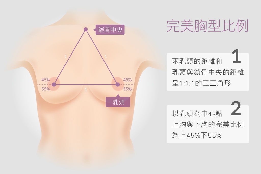 光彩胸部比例.jpg 光彩胸部比例.jpg