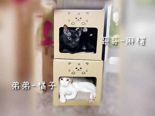 248769.jpg 試用