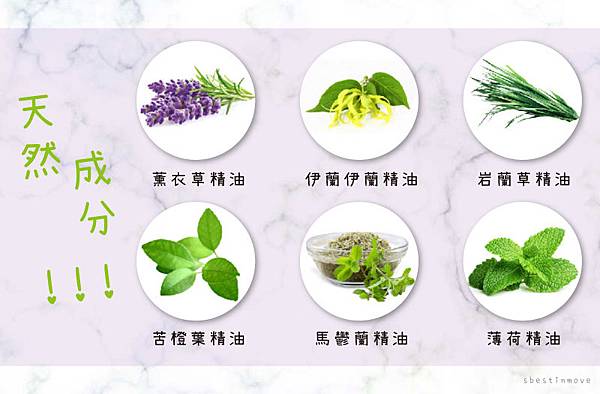 照片-1.jpg 試用