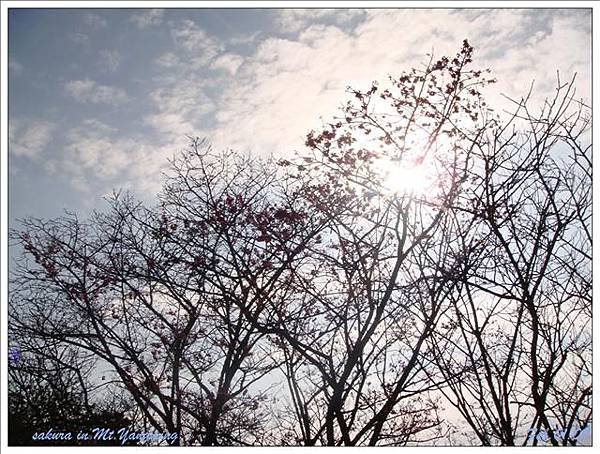 記得，是個晴朗的午後。