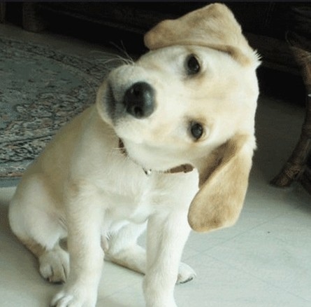 圖片三.jpg 圖片三.jpg