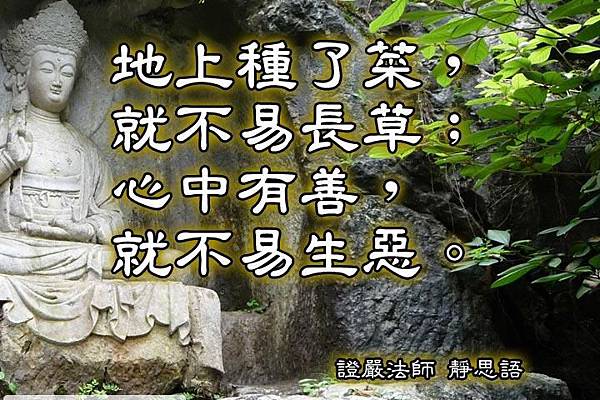 1291864093.jpg 1291864093.jpg