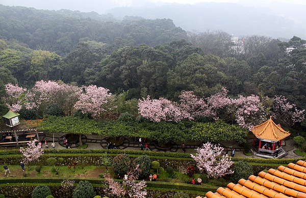 2011.03.07 淡水天元宮