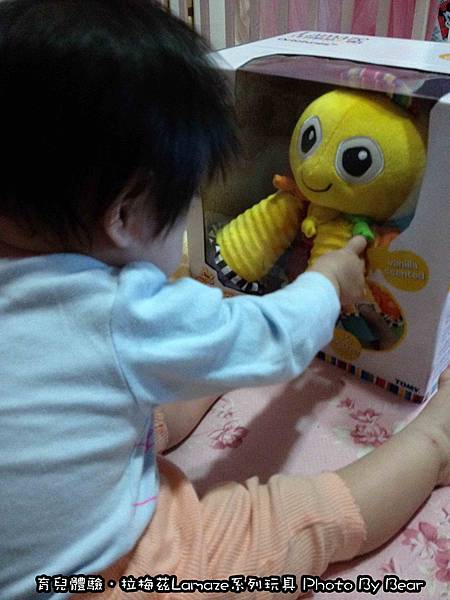 049-001.jpg 049-001.jpg