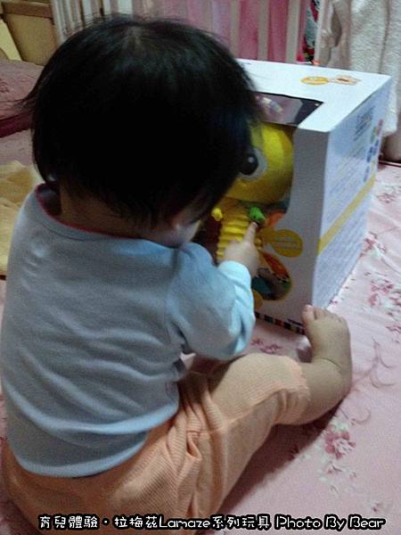 049-002.jpg 049-002.jpg