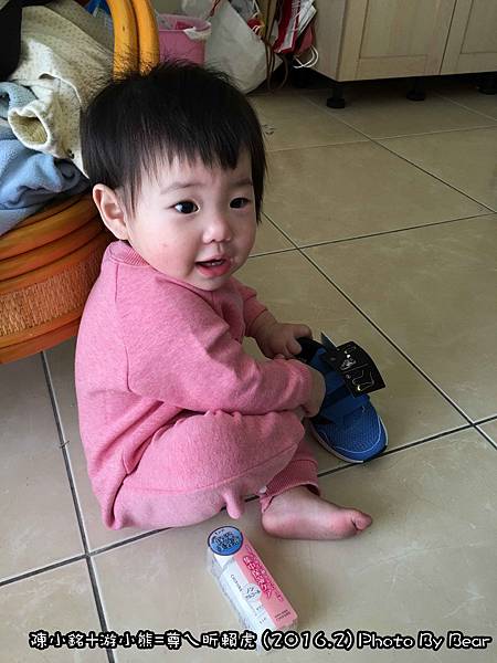 019IMG_5216.jpg 019IMG_5216.jpg